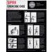 SPRI Exercise Dice for Group Fitness & Classes - Includes Push Ups, Squats, Lunges, Jumping Jacks, Crunches & Wildcard - with Carrying Bag - Buy Online on SooperMarket.com