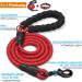 Haapaw Reflecting Dog Collar - Padded Neoprene Breathable Nylon for Small & Medium Dogs - Red (M 1-Pack) - Buy Online on SooperMarket.com