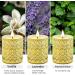 Fragrance Candle Gift Set for Women - 6 Large Soy Wax Candles 200 Hours Burn Time Perfect Valentine's Day Gift in Elegant White Glass - Buy Online on SooperMarket.com