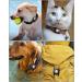 IP68 Waterproof Airtag Holder for Dogs & Cats - Compatible Apple Airtag Pendant & Keychain - Black - 1 Piece - Buy Online on SooperMarket.com