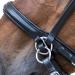 WALDHAUSEN Star Bitless Bridle for Ponies - Premium Quality Black Equestrian Gear | International Shipping - Buy Online on SooperMarket.com