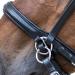 WALDHAUSEN Star Bridle Bitless Black for Warmbloods - Premium Quality Equestrian Gear International Shipping Available - Buy Online on SooperMarket.com