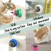 6-Piece Silvervine Catnip Wall Balls - Edible, Rotatable, and Safe Cat Treat Toys with 3 Flavors for Teeth Cleaning and Biting - Buy Online on SooperMarket.com
