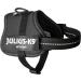 K9 Powerharness 2XS/Baby 2 in Black - Premium Dog Harness for Ultimate Comfort and Control - Buy Online on SooperMarket.com