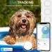 GPS Dog Tracker Mini GPS Tracker Device with Dogs Collar No Monthly Fees Real-Time Location Tracking Works with Apple Find My (iOS Only) IP68 Waterproof Pet Tracker Anti Lost for Dog 1 Pack Black - Buy Online on SooperMarket.com