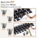 Lash Clusters Ribbon 160 D Curl Individual Lashes DIY Extensions Mega Volume with Applicator Tool & Scissors | B&Q LASH (B03+B05 10-16MIX) - Buy Online on SooperMarket.com