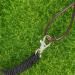 Adjustable Lizard Traction Rope & Leather Wings Leash - 3 Piece Pet Climbing Belt - Cool Black Training Accessory - Buy Online on SooperMarket.com
