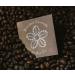 Roasted Coffee Beans - Medium Grind - Vietnamese (Blossom Blend Medium Grind 250) Blossom Blend Medium Grind 250 g (Pack of 1) - Buy Online on SooperMarket.com