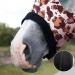 Harrison Howard Soft Fleece Stretchy Horse Head Hood with Zipper - Comfortable All-Covered Design in Classic Leopard M - Buy Online on SooperMarket.com