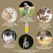 Emma Cat Vitamins 100ml | High Dose B Complex & Essential Nutrients for Immune Support | Vitamins A B12 D E Iron Zinc Selenium & L-Lysine - Buy Online on SooperMarket.com