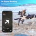 Cloudvalley Airtag Dog Collar - IPX8 Waterproof GPS Tracker for Apple Airtags - Lightweight Easy Install Anti-Loss Cover for Dogs & Cats - Buy Online on SooperMarket.com