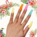 Makartt Poly Nail Set - All-in-One Builder Gel & Color Kit for Nail Extensions | Perfect for Starters & Technicians - Birds of Paradise Spring Series - Buy Online on SooperMarket.com