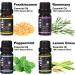 SIPA 100% Pure Aromatherapy Essential Oils Set (8 Pcs) - Lavender, Eucalyptus, Lemon Grass, Rosemary, Tea Tree, Peppermint, Orange, Frankincense - for Diffuser & Humidifier - Buy Online on SooperMarket.com