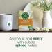 Traditional Medicinals Tea Organic Gas Relief  Relieves Gas & Bloating Chamomile Mint 16 Count (Pack of 6) - Buy Online on SooperMarket.com