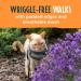 Adjustable Cat Harness and Lead Set - Escape Proof and Safe Design for Kittens - UK Universal Size Cat Leash - Buy Online on SooperMarket.com