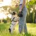Pinenuts Small Dog Treat Bag 2 Pack Dog Training Treats Pouch Pet Puppy Dog Walking Bags Pocket with Mezzanine and Carabiner - Buy Online on SooperMarket.com