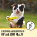 Premium Senior Dog Food for Dogs 7+ Years | Nutritious & Easy to Digest - Buy Online on SooperMarket.com