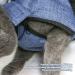 Fockety Cat Nail Clipping Cleaning Grooming Restraint Bag No Scratching Biting for Bathing Pet Bag for Cat Dental Care Administering Eye Drops Ear Cleaner Clipping Nails Trimming - Buy Online on SooperMarket.com
