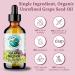 Bella Terra Oils Pure Grape Seed Oil - Antioxidant-Rich Lightweight 1 Gallon for Radiant Skin & Frizz-Free Hair (Pack of 10 - 12.8 Fl Oz) - International Shipping Available - Buy Online on SooperMarket.com