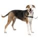 PetSafe Easy Walk Harness Anti-Pull Dog Harness Reduces Choking and Coughing With 1.8M Leash Size XL Black XL Black