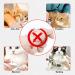 Buy Badaren Cat Muzzle - Breathable Adjustable Mask for Cat Care | Top Quality Mouth Cover with Mesh & PVC Protection (Medium) - Buy Online on SooperMarket.com