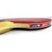 Butterfly B603FL Ping Pong Paddle Set with Case | Tournament Grade Table Tennis Racket for High Speed & Spin - Buy Online on SooperMarket.com