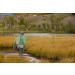 Fishpond South Fork Wader Belt | Fishing Wading & Back Support Belt - Buy Online on SooperMarket.com