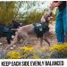 OneTigris Mammoth Dog Backpack 2.0 - Tear-Resistant Camping & Hiking Backpack for Medium/Large Dogs (M Black) - International Shipping Available - Buy Online on SooperMarket.com
