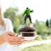 Seyal Hlk Cupcake Topper - Buy Online on SooperMarket.com