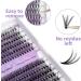 240PCS D Curl 0.07mm 20D/30D Mixed Cluster Lash Extension Kit | DIY Eyelash Extensions | Wide Stem Individual Lashes 12-16mm | RR-12-16mm Clusters-20D+30D-0.07-D - Buy Online on SooperMarket.com