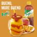 Tajin Fruity Chamoy Hot Sauce 15.38 oz - Pack of 2 | Tangy and Spicy Flavor | 15.38 Fl Oz - Buy Online on SooperMarket.com