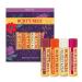 Burt's Bees Holiday Gift: 4 Lip Balm Stocking Stuffer Set - Beeswax Fruit Collection (Pomegranate, Sweet Mandarin, Coconut & Pear, Watermelon) - 4pk - Buy Online on SooperMarket.com