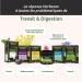 Herbesan Transiphyt Organic Infusion 20 Sachets - Buy Online on SooperMarket.com