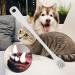 AWHAO Pet Dental Care for Dogs and Cats - Complete Oral Hygiene Set for Fresh Breath and Clean Teeth White - Buy Online on SooperMarket.com
