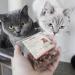 Carnello Cat Treats - Spaghetti Snacks & Delicacies for Cats | Healthy Cat Treats (30g) - International Shipping - Buy Online on SooperMarket.com