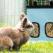 Rabbit Hay Feeder Bag Guinea Pig Hay Feeder Storage Racks 600d Oxford Cloth Fabric Hanging Feeding Hay for Hamsters Bunny Small Animals (Blue) - Buy Online on SooperMarket.com