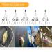 Alabama Umbrella Rigs 18cm 8in 16g 1/2oz - 5pcs Bass Fishing Lures - Buy Online on SooperMarket.com