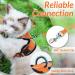 Rabbitgoo Cat Dishes & Adjustable Breakage-Proof Cat Harness Set - Orange M (1 Pack) for International Shipping - Buy Online on SooperMarket.com