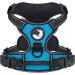 Joytale dog harness Small dogs reflective soft padded dogs curve anti -train adjustable breathable breast dishes with safe simple control handle blue s s (1 Pack) blue