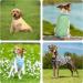 4-Pack Cotton Dog T Shirt Striped Dog Shirt Puppy T-Shirts Dogs Summer Basic T-Shirt for Medium Large dogs Striped Medium - Buy Online on SooperMarket.com