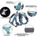 Buy Belpro Multi-Purpose Dog Harness - No Pull Reflective Adjustable Vest for Large Dogs - Durable Handle & Dog Dishes - Ideal for Active Dogs (Blue M) - Buy Online on SooperMarket.com