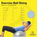 ProBody Pilates Ball - Blue 55cm Exercise Yoga Ball for Fitness, Pregnancy, Balance - Gym Grade Stability Ball Chair for Home & Office w/Pump - Buy Online on SooperMarket.com