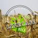 Buy Try Bag - 4x Lubs Bio Fruit Track | Vegan & Organic Fruit Bars for Kids | 14 Delicious Flavors | Healthy Snacks from Controlled Organic Cultivation - Buy Online on SooperMarket.com