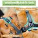 Breathable Mesh Dog Muzzle - Adjustable for Large Medium & Small Dogs | Anti-Bite & Chew | Black - Buy Online on SooperMarket.com