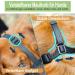 Breathable Mesh Dog Muzzle - Adjustable Sizes for Large Medium & Small Breeds | Black XL - Anti-Biting & Chewing Solution - Buy Online on SooperMarket.com