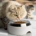 CatGuru Whisker Stress-Free Cat Food Bowl - Non-Slip Shallow Stainless Steel Dish - Buy Online on SooperMarket.com