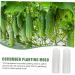 CIYODO 2pcs Vegetable Shaping Mold Cucumbers Cucumber Growing Mould Vegetable Growing Mold Accessories - Buy Online on SooperMarket.com