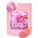 Sakura Cherry Blossom Powder - Japanese Drinks, Spring Mix, Japanese Food, 1.4oz (40g)【YAMASAN】