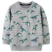Boys Sweatshirt for Kids Dinosaur Jumper Cotton Casual Top Long Sleeve Pullover T-Shirt Toddler Girls Shirts Baby Clothes 1-8 Years 2-3 Years Grey