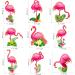 Tropical Flamingo Cupcake Toppers - Buy Online on SooperMarket.com